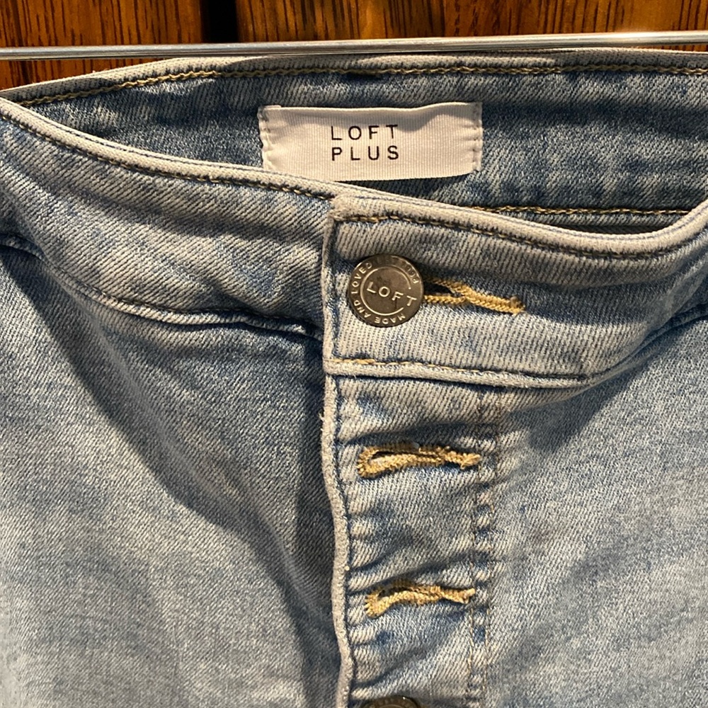 $5 loft plus jeans